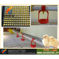 automatic chicken house nipple drinking line with pp plastic cup